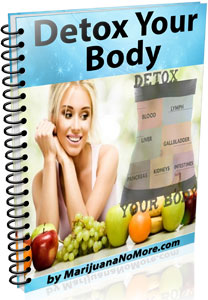 Detox Your Body