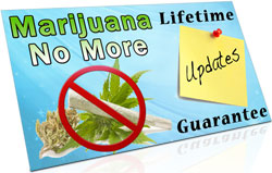 Lifetime Updates Guarantee